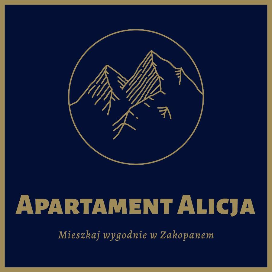 Apartament Alicja, Scisle Centrum, Orkana 3 Zakopane Esterno foto